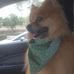 Profile Picture of Clark Schweickart (@clark.schweickart.9) on Facebook