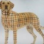 Profile Picture of Michael Burchfield (@michael.burchfield.399) on Instagram