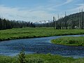 Profile Picture of Lewis River (Wyoming)on Wikipedia