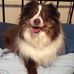 Profile Picture of Jackie Kempe (@jackie.kempe.5) on Facebook