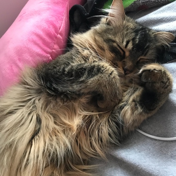 Profile Picture of Gena Corson (@geeeenac) on Poshmark