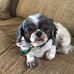Profile Picture of Roberta Knowles (@roberta.knowles.75) on Facebook