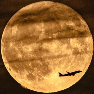 Profile Picture of John Scala (@jcscala65) on Twitter
