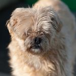 Profile Picture of Barry Barker (@akabigb) on Instagram
