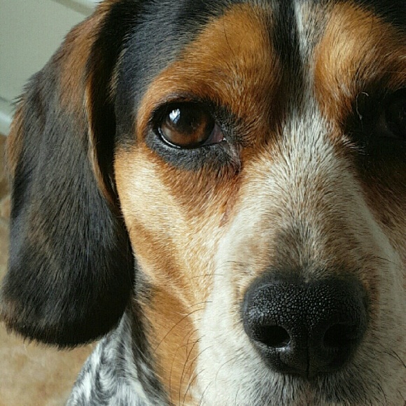 Profile Picture of Ava Chaboya (@hustler310313) on Poshmark