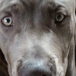 Profile Picture of Wendy Terry Erickson (@werickson17) on Instagram