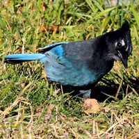 Profile Picture of Fay Dowling (@fay-dowling-2) on Quora