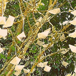 Profile Picture of Armando Miguel Oliveira Andrade (@armandoandrade80) on Flickr