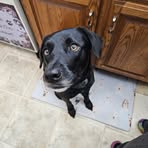 Profile Picture of Kevin Retzlaff (@kevin.retzlaff.2025) on Facebook