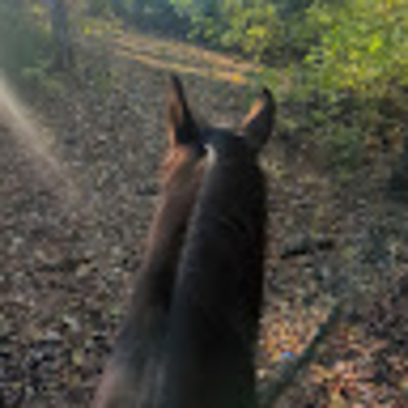 Profile Picture of Shelby Roiger (@sroiger2009) on Poshmark