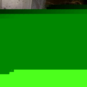 Profile Picture of Lisa Therrien (@lisa_therrien) on Myspace