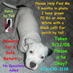 Profile Picture of Florida (@doglost2) on Twitter
