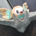 Profile Picture of Carlos the Rocket  Rowlet (@carlostherocketrowlet) on Instagram