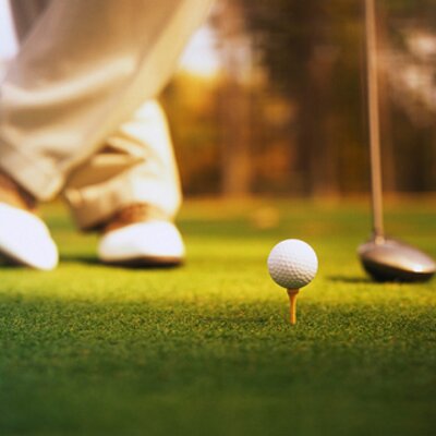 Profile Picture of Mike Galli (@galliongolf) on Twitter