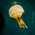 Profile Picture of Brian Fay (@brianfayphotography) on Instagram