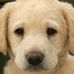Profile Picture of Becky Lovelace (@becky.lovelace.714) on Facebook