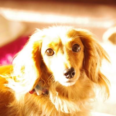 Profile Picture of Yusuke Watanabe (@You0913You) on Twitter