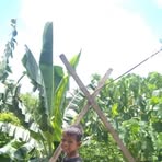 Profile Picture of Kenly James (@Kenly-James) on Facebook