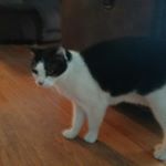 Profile Picture of Richard salerno (@richard_salerno) on Instagram