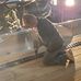 Profile Picture of Dennis Stauffer (@dennis.stauffer.18) on Facebook