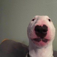 Profile Picture of Jake Brandon (@jake-brandon-16) on Quora