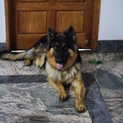 Profile Picture of Sudarshan Iyengar  (@Sudarshanabhiram) on Youtube