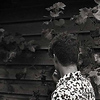 Profile Picture of Alexander Aitken (@Alex Aitken) on Flickr
