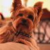 Profile Picture of Craig Schweitzer (@craig.schweitzer.35) on Facebook