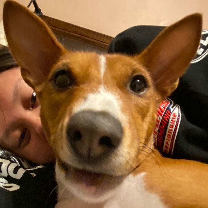 Profile Picture of andrew lok (@drew.lok) on Tiktok