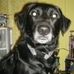 Profile Picture of Monte Klein (@monte.klein.35) on Facebook