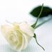 Profile Picture of Sherrie Cooley (@sherrie.cooley.18) on Facebook