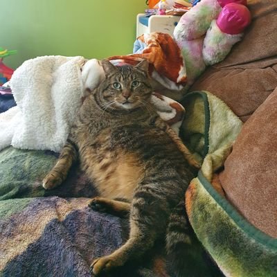 Profile Picture of Michelle Renee Trout (@TroutRene) on Twitter