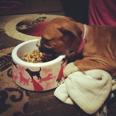 Profile Picture of Jazlynn Sample (@DenisFan134) on Twitter