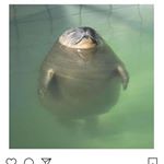 Profile Picture of Scottlowndes (@scott.lowndes2007) on Instagram