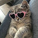Profile Picture of Aaliah Keith Maurin Sarsale (@aaliah.keith) on Instagram