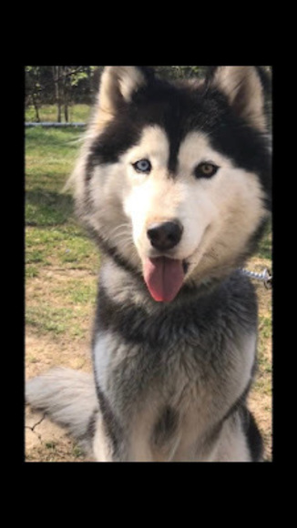 Profile Picture of Eli Bosio (@bosioe07) on Poshmark