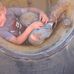 Profile Picture of Clay Bounds (@johnnie.bounds.9) on Facebook