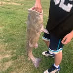 Profile Picture of Dylan Coffey (@dylan.coffey.142) on Facebook