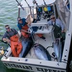 Jesse Martello - Instagram Profile Picture of Jesse Martello (@jessemartello) on Instagram