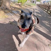 Profile Picture of Janice Hsu  (@janice-hsu-18) on Quora