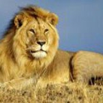 Profile Picture of Neville W Duncan (@neville_duncan) on Instagram