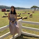 Profile Picture of Joanne Eleanor Lye (@joanneeleanor) on Instagram