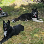 Profile Picture of Jay Swift (@swiftsyndicate) on Youtube