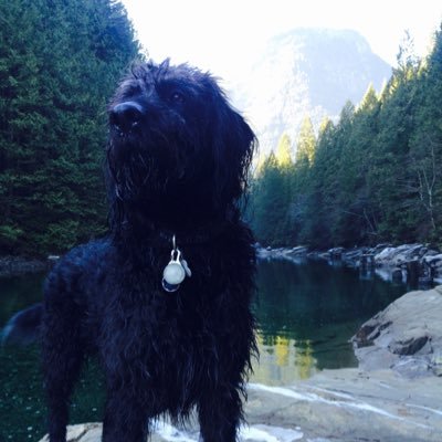 Profile Picture of Greg Franson (@greg_franson) on Twitter