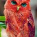 Profile Picture of Marilyn Otte (@Marilyn-Otte) on Facebook