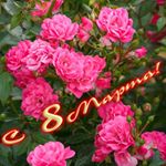 Profile Picture of corinne lucas (@corinne5752sgh) on Instagram