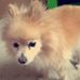 Profile Picture of Brooke Danielson (@brooke.danielson.77) on Facebook