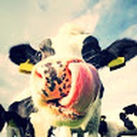 Profile Picture of Paul Mcbee (@paul-mcbee-3) on Quora
