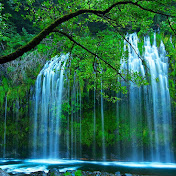 Profile Picture of Skylar Shaw (@skylarshaw7848) on Youtube