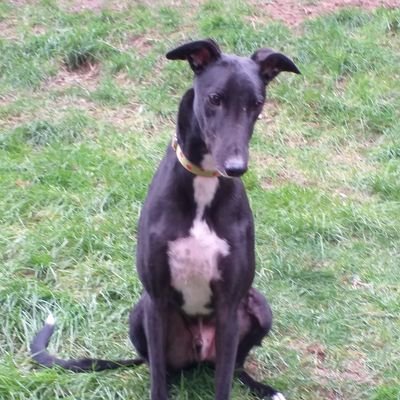 Profile Picture of Mariapugh741@gmail.com (@mariapugh741) on Twitter